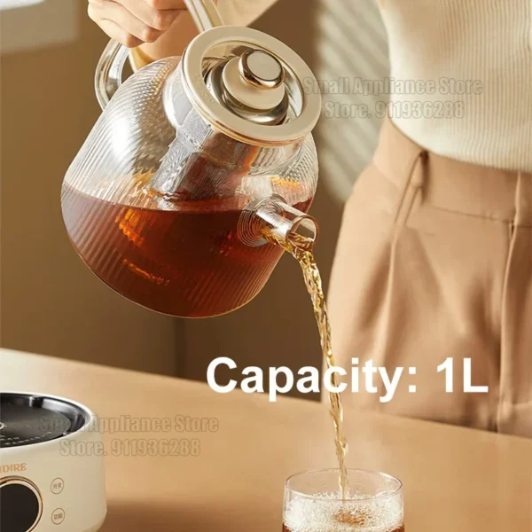 Bouilloire électrique OIDIRE 1L – pot santé verre, thé & soupe 3