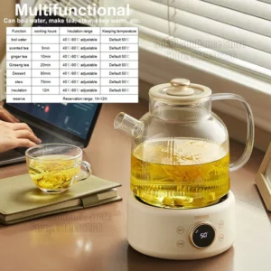 Bouilloire électrique OIDIRE 1L – pot santé verre, thé & soupe 2